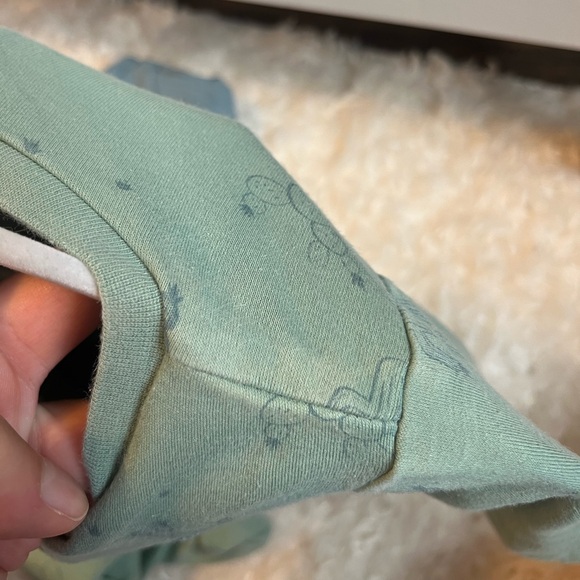 Pekkle 3mo sleeper 🌵 - Picture 3 of 3